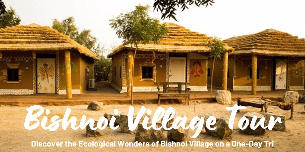 Bishnoi Village Safari